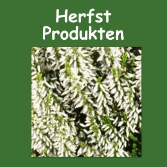 Herfst producten