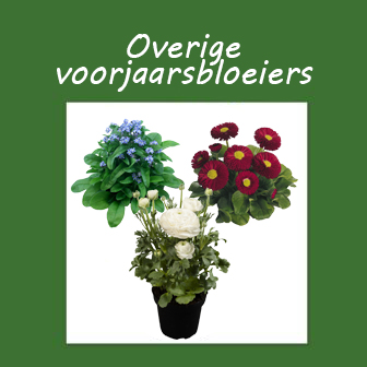 Voorjaarsbloeiers